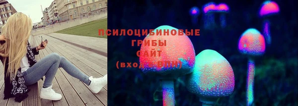 мдма Бородино