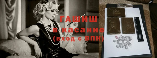шишки Сясьстрой