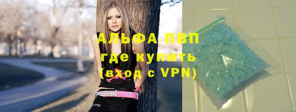 гидра Тайга