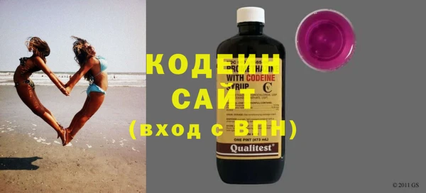 гидра Тайга