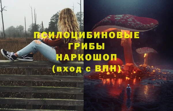 ГАЛЛЮЦИНОГЕННЫЕ ГРИБЫ Верхнеуральск