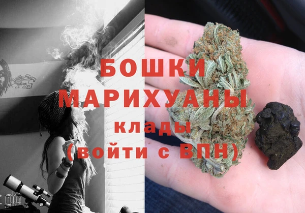 гидра Тайга
