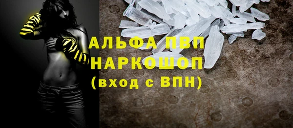 шишки Сясьстрой