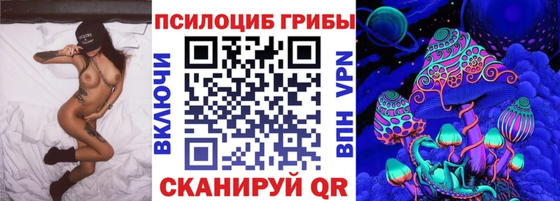 Галлюциногенные грибы Psilocybine cubensis  omg   Славянск-на-Кубани 